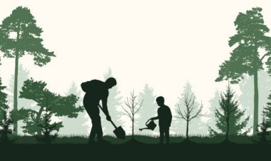 Melawan Penggundulan Hutan: Program Reforestasi untuk Memulihkan Ekosistem