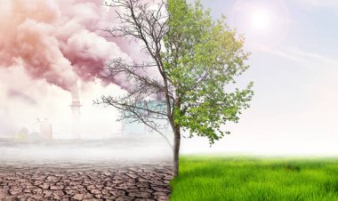 Perubahan Iklim Global Mendorong Langkah-Langkah Darurat di Tahun 2023