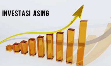 Reformasi Ekonomi Indonesia: Rencana Pemerintah untuk Menarik Investasi Asing
