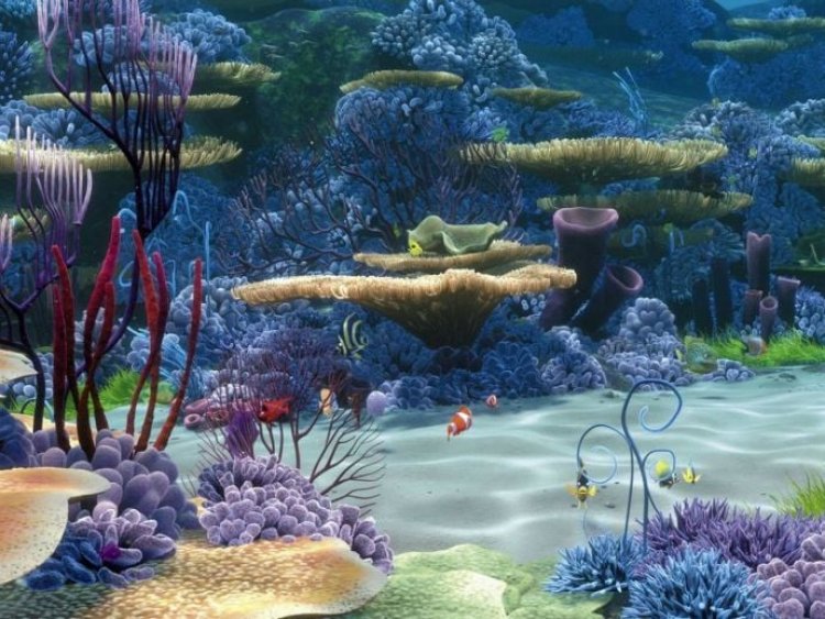 Eksplorasi Bawah Laut: Penemuan Baru di Dasar Lautan Mengungkap Keajaiban Alam