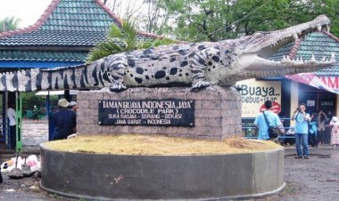 Eksplorasi Taman Buaya Indonesia di Kab Bekasi
