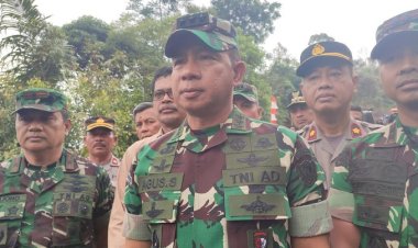 Pergantian KSAD: Mengapa Agus Subiyanto Jadi Nama Paling Top?