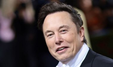 Elon Musk Tantang Kontroversi: Starlink Bawa Koneksi Internet ke Gaza Meskipun Israel Protes
