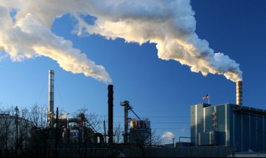 Pasar Oligopoli: Dinamika Kompetisi dan Tantangan bagi Konsumen dan Produsen