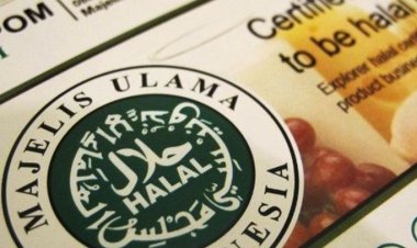 KSP Menolak Usulan MUI Cabut Sertifikat Halal Produk Pendukung Israel, Penjelasan dan Dukungan dari Wakil Komisi VIII DPR