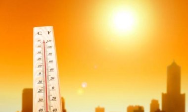 Pemanasan Global Mencapai Puncak: Suhu Harian Global Sentuh 2 Derajat Celsius di Atas Level Pra-industri