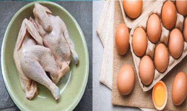 Pemerintah Lanjutkan Bantuan Pangan Penanganan Stunting hingga 2024 untuk 1,4 Juta Keluarga Rawan Stunting