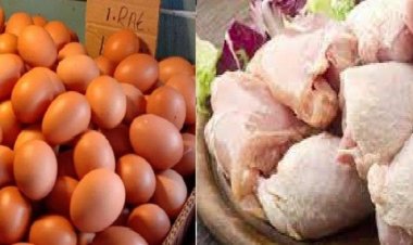 Pemerintah Lanjutkan Bantuan Pangan untuk 1,4 Juta Keluarga Rawan Stunting di 2024