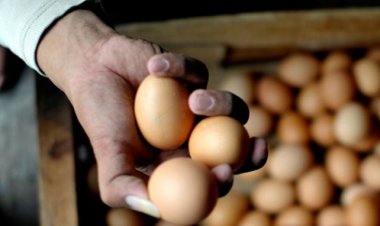 Pemerintah Siapkan Program Bantuan Pangan Lanjutan untuk Penanganan Stunting pada 2024