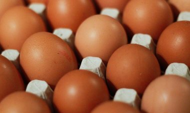 Pemerintah Indonesia Sambut Tahun 2024 dengan Melanjutkan Program Bantuan Pangan untuk Penanganan Stunting