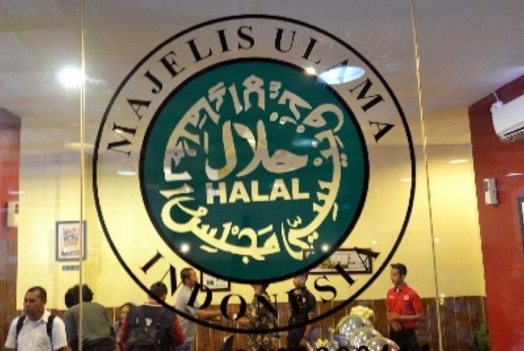 KSP Tolak Usulan MUI Cabut Sertifikat Halal Produk Pendukung Israel, Dukungannya untuk Palestina Tetap Kuat