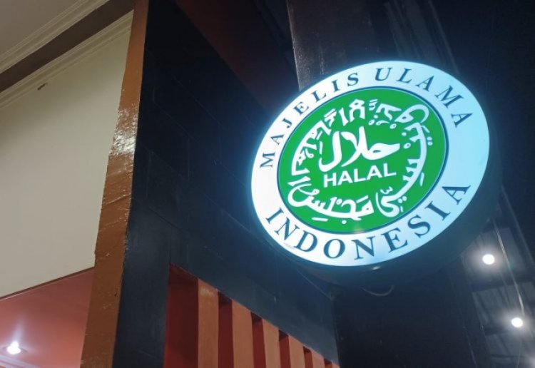 Kontroversi Terkait Sertifikat Halal: KSP Tolak, MUI Usul Cabut Produk Pendukung Israel