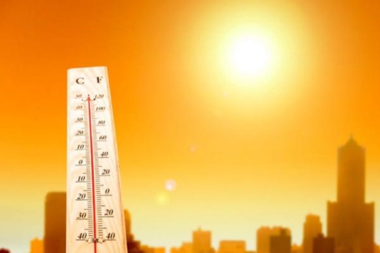 Pemanasan Global Mencapai Puncak: Suhu Harian Global Sentuh 2 Derajat Celsius di Atas Level Pra-industri