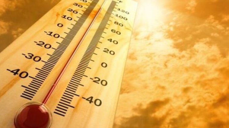 Suhu Global Tembus Rekor 2 Derajat Celsius: Tahun 2023 Diprediksi sebagai yang Terpanas Sepanjang Sejarah