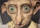 Saat Karakter Harry Potter Inspirasikan Psikologi: Dobby Syndrome