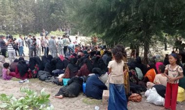 Pengungsi Rohingya di Indonesia Mencapai 1.478 Orang, Pemerintah Mencari Solusi Terbaik