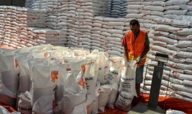 Bulog Perluas Dampak Sosial, Beri Bantuan Beras kepada 22 Juta Keluarga di Tengah Kenaikan Harga