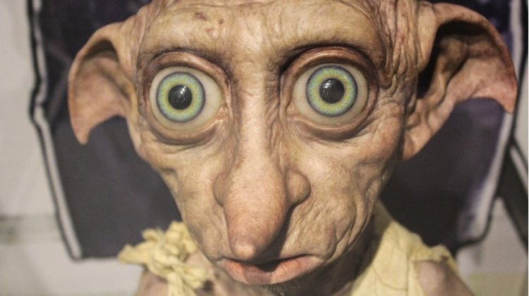 Saat Karakter Harry Potter Inspirasikan Psikologi: Dobby Syndrome