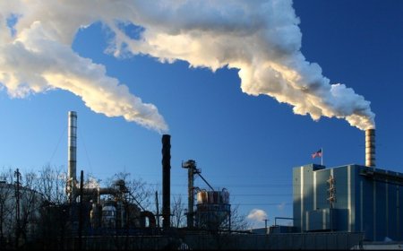 Apa Itu Pasar Oligopoli? Pengertian, Ciri-Ciri, Kelebihan, dan Kelemahannya