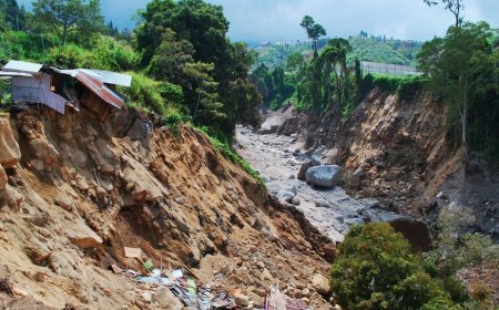 Tebing 25 Meter Longsor Timpa Rumah Warga di Bogor: Waspadai Ancaman Longsor di Musim Hujan