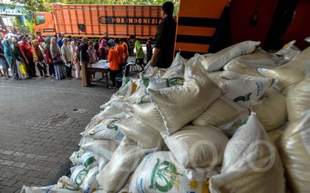 Jokowi Lanjutkan Program Bansos Beras hingga Juni 2024, 22 Juta Keluarga Dapat Manfaat