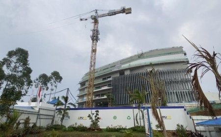 Proyek Istana Presiden IKN Capai 50 Persen: Lingkungan Ramah dengan 20 Juta Pohon