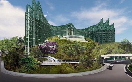 Proyek Istana Presiden IKN Capai 50 Persen: Keberlanjutan Lingkungan dengan 20 Juta Pohon di Sekitarnya