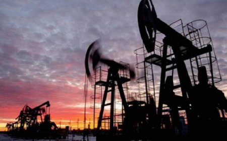 Apa yang Terjadi Jika Negara-negara Arab Melakukan Embargo Minyak ke Israel dan AS? Dampaknya pada Pasokan Energi dan Ekonomi Global