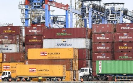 Indonesia Impor Barang dari Israel Rp263,12 M Sejak Awal Tahun