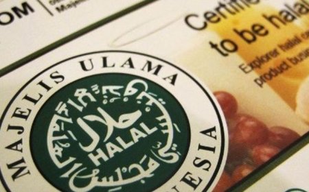 KSP Tolak Usulan MUI Cabut Sertifikat Halal Produk Pendukung Israel, Pertimbangkan Dasar Hukum