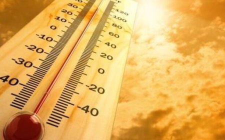 Rekor Pemanasan Global: Suhu Harian Sentuh 2 Derajat Celsius, Menandai Tahun Terpanas dalam Sejarah