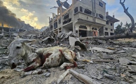 Eskalasi Kekerasan Israel di Gaza: Gempur Sekolah di Kamp Jabalia dan Rumah Sakit Indonesia