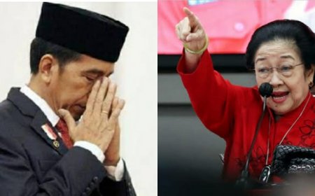 Kontroversi Sikap Jokowi Terhadap PDIP dan Dukungan Terhadap Prabowo-Gibran: Hasil Survei dan Analisis