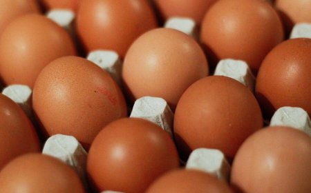 Pemerintah Lanjutkan Bantuan Pangan untuk 1,4 Juta Keluarga Rawan Stunting di 2024