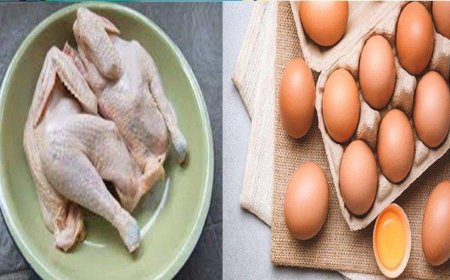 Pemerintah Lanjutkan Program Bantuan Pangan untuk 1,4 Juta Keluarga Rawan Stunting di 2024