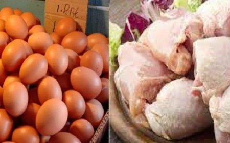 Pemerintah Siapkan Program Bantuan Pangan Lanjutan untuk Penanganan Stunting pada 2024