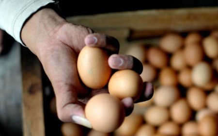 Pemerintah Lanjutkan Bantuan Pangan Penanganan Stunting hingga 2024 untuk 1,4 Juta Keluarga Rawan Stunting