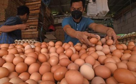 Pemerintah Indonesia Sambut Tahun 2024 dengan Melanjutkan Program Bantuan Pangan untuk Penanganan Stunting