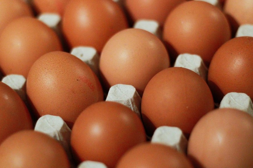 Pemerintah Lanjutkan Bantuan Pangan untuk 1,4 Juta Keluarga Rawan Stunting di 2024