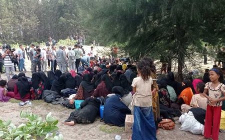 Jumlah Pengungsi Rohingya di Indonesia Mencapai 1.478 Orang, Pemerintah Terus Cari Solusi