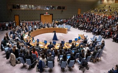 Mesir dan Mauritania Perlawanan Terhadap Veto AS di DK PBB Menggunakan Resolusi 377A: Isi dan Dampaknya