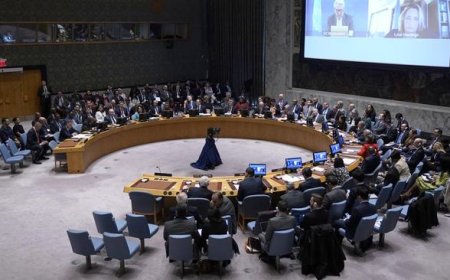 Mesir dan Mauritania Lawan Veto AS di DK PBB dengan Resolusi 377A: Bagaimana Isi dan Dampaknya?