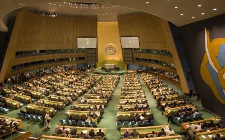 Dalam Sidang PBB, Hanya 10 Negara Menolak Gencatan Senjata Israel-Hamas, Termasuk Tetangga RI