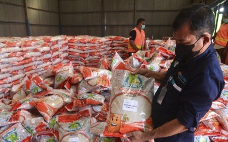 Bulog Siapkan Bansos Beras untuk 22 Juta Keluarga, Penyaluran Hingga Juni 2024