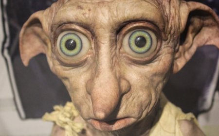 Dobby Syndrome: Menelusuri Dibalik Rasa Bersalah Hingga Cara Mengatasinya