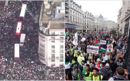 Dibalik Kebebasan Berpendapat: Mengapa Negara Barat Melarang Demonstrasi Solidaritas Palestina?