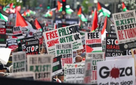 Kontroversi Larangan Demonstrasi Palestina di Negara Barat: Kebebasan Berpendapat Vs. Kestabilan Internal