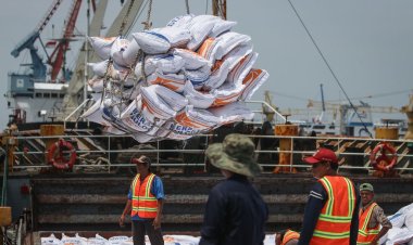 3 Juta Ton Beras Impor Bakal Banjiri RI Tahun Ini