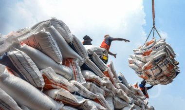 Jokowi Umumkan Impor 3 Juta Ton Beras untuk Stabilkan Ketahanan Pangan Indonesia