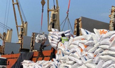 Peningkatan Ketahanan Pangan: Indonesia Impor 3 Juta Ton Beras dari India dan Thailand